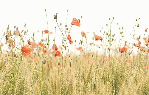 The Gift of&nbsp;You