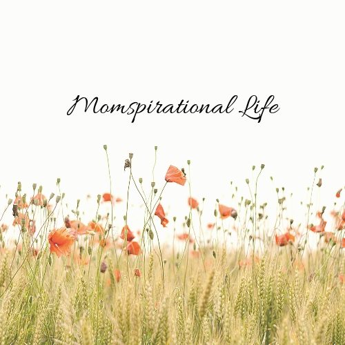 Ten Years of Momspirational Life: What God Has Grown From a Simple&nbsp;Yes
