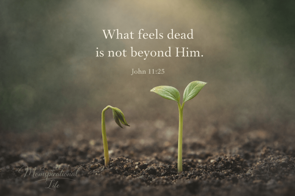 When Jesus Wept: Finding Resurrection Life in What Feels Lost