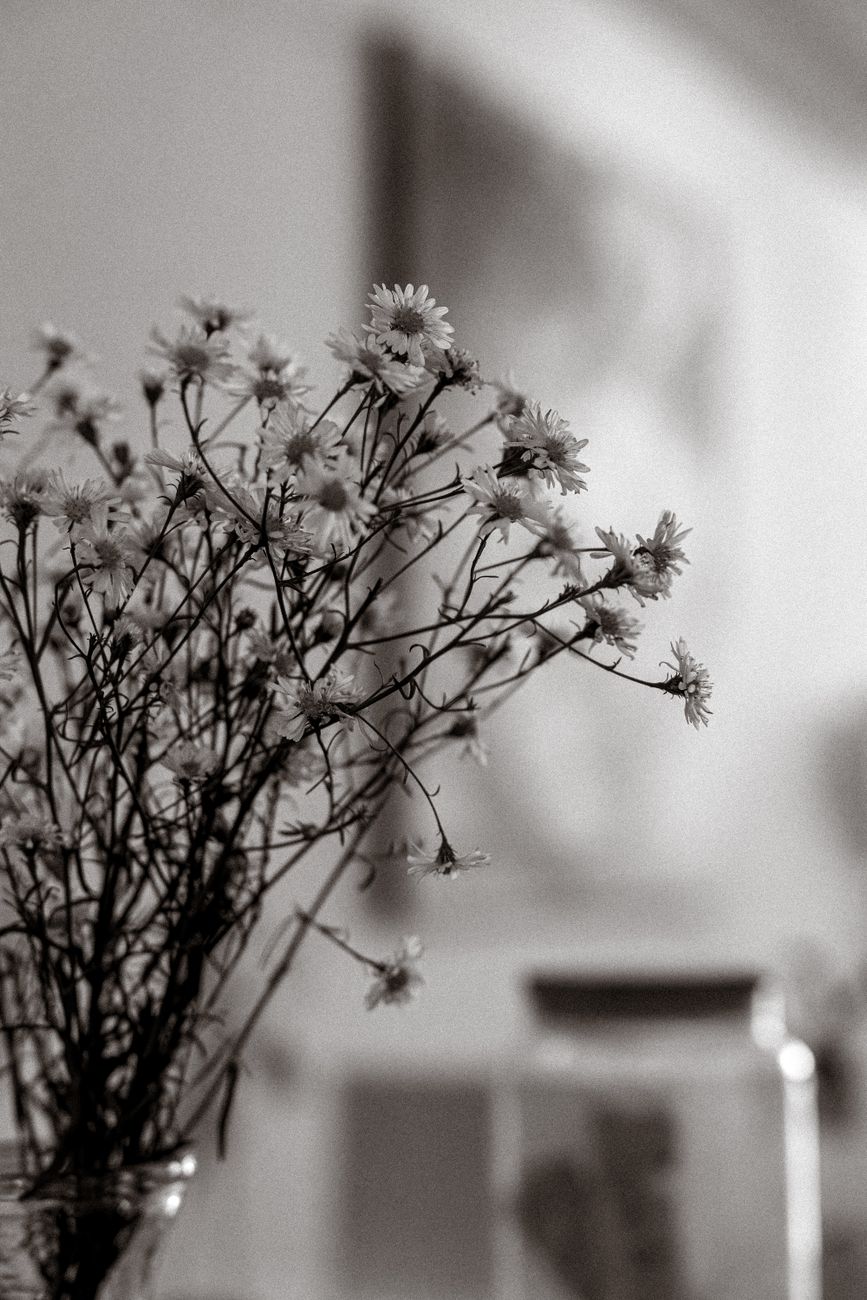 When Seasons Change: Holding On to the One Who Does&nbsp;Not